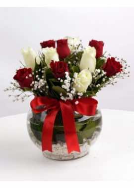 Aşkın Simgesi Kırmızı ve Beyaz Güller